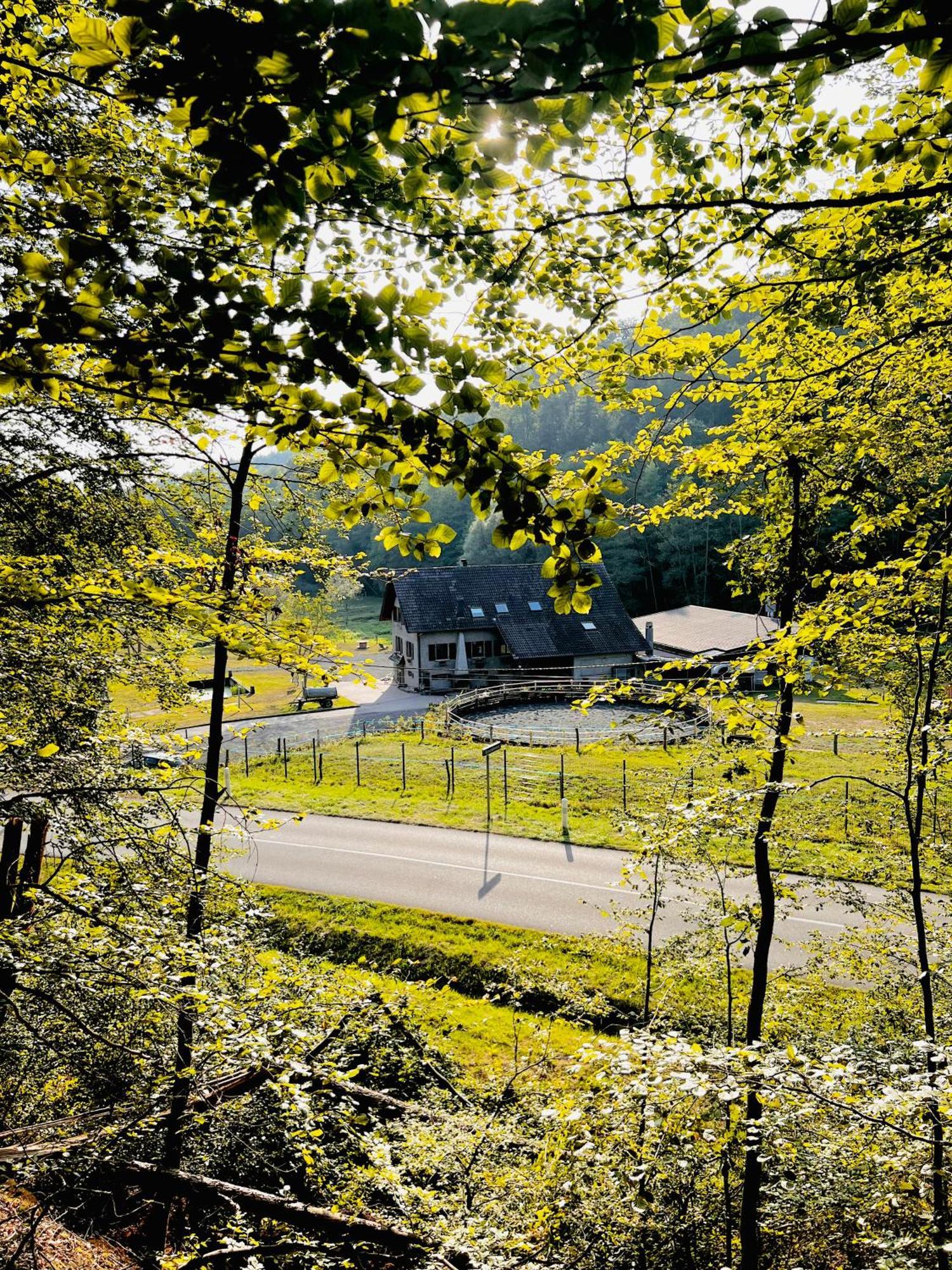 Maison D'Hotes En Pleine Nature Avec Chevaux Soucht Exteriör bild