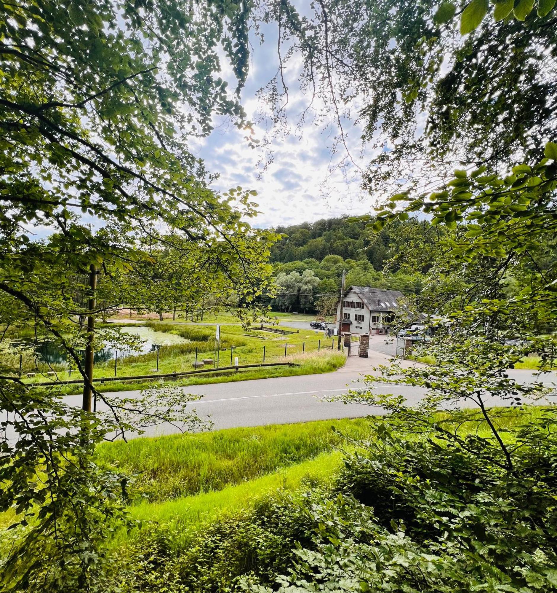 Maison D'Hotes En Pleine Nature Avec Chevaux Soucht Exteriör bild